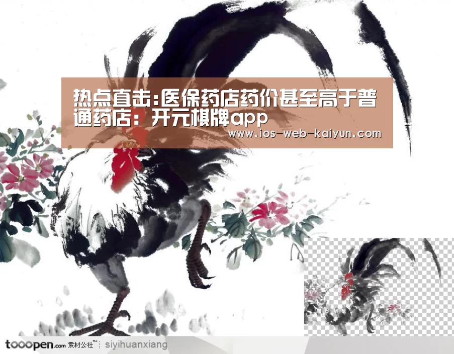开云体育下载