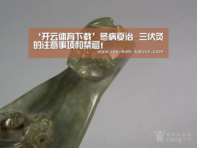 ‘开云体育下载’冬病夏治-三伏灸的注意事项和禁忌！